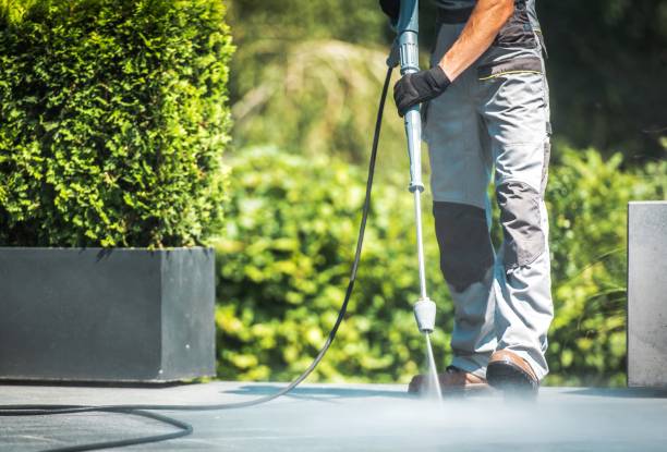 Best Driveway Pressure Washing  in Stayton, OR